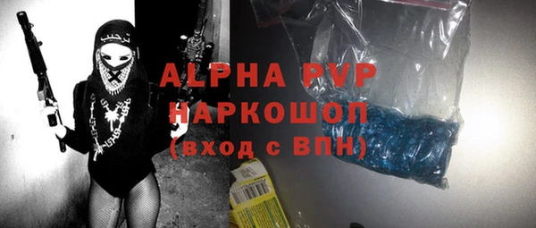 гидра Новозыбков