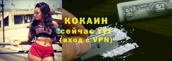 гидра Новозыбков