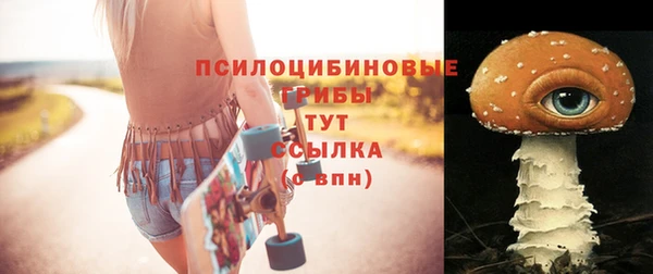 гидра Новозыбков