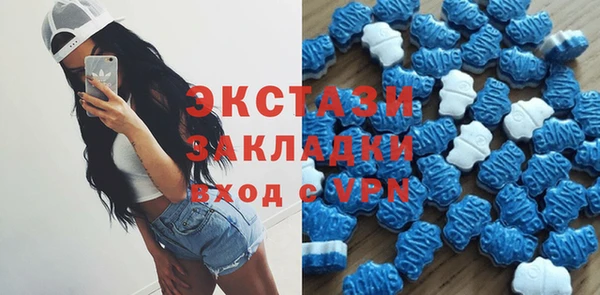 гидра Новозыбков