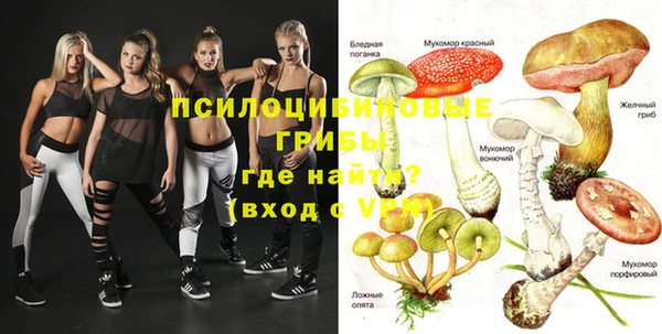 гидра Новозыбков