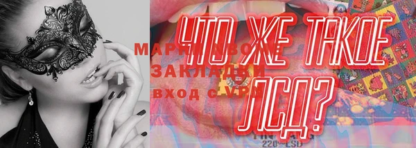 ешки Болотное