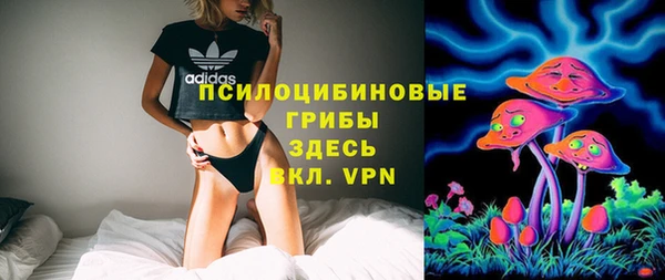 хмурый Нягань