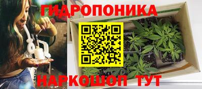 альфа пвп Бийск